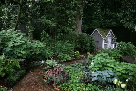 Backyard Landscaping Wooded Area, Georgia Native Landscaping, Shade Backyard Landscaping, Atlanta Landscaping, Shady Backyard Ideas, Shady Backyard, Quirky Garden, Best Plants For Shade, Exterior Landscaping