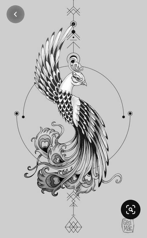 Tattoo Phoenix Feather Tattoos, Tato Phoenix, Phoenix Tattoo Feminine, Small Phoenix Tattoos, Love Symbol Tattoos, Phönix Tattoo, Peacock Tattoo, Lion Tattoo Sleeves, Phoenix Tattoo Design