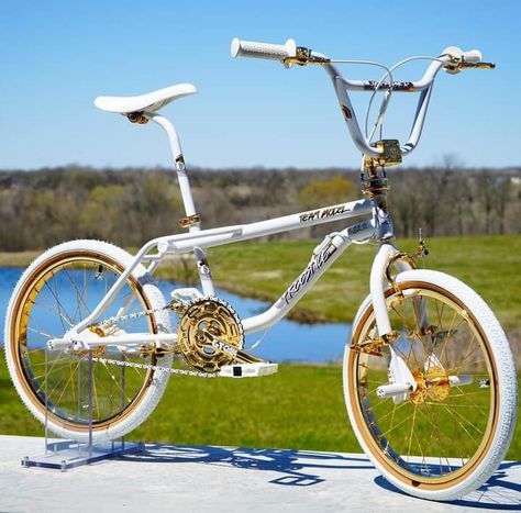 Gt Bikes, Gt Bmx, Bike Gang, Vintage Bmx Bikes, Bike Aesthetic, Velo Vintage, Bmx Bicycle, Pretty Bike, Bmx Freestyle