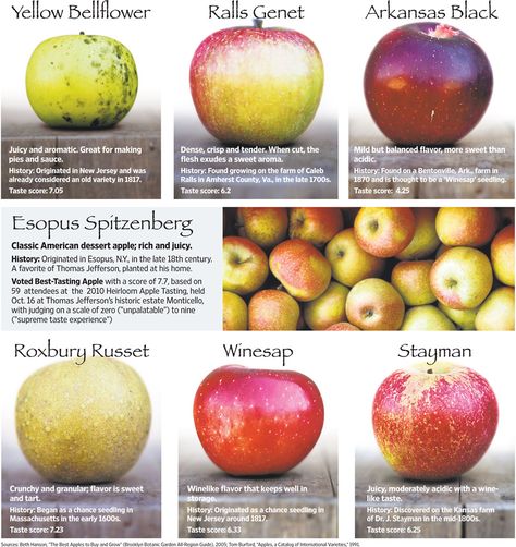 http://online.wsj.com/article/SB10001424052702303467004575574262924513410.html Heirloom Apple Varieties Orchard Ideas, Types Of Apples, Grocery Shelves, Orchard Design, Apple Types, Apple Varieties, Heirloom Vegetables, Starting A Garden, Vintage Apple