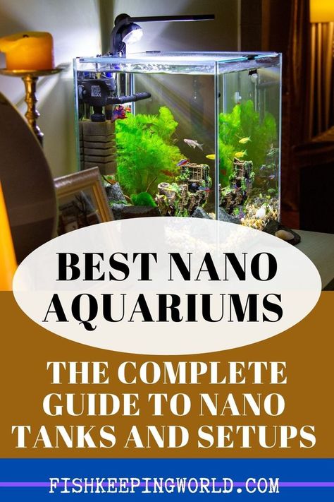 If you are not ready for the commitment of a standard home aquarium because of the size and maintenance that goes along with it, Fishkeeping World recommends a Nano aquarium. These aquariums are typically less than 10 gallons and can fit in smaller home spaces or your office. Check out our review of 5 Nano fish tanks to find the one that you want. Also included are some maintenance tips for these tanks that are distinct from their larger counterparts. Get the list… #nano #aquariums #nanotanks Nano Fish Tank, Freshwater Aquascape, Nano Reef Tank, Fish Ideas, Small Fish Tanks, Fish Keeping, Nano Aquarium, Fishing For Beginners, Home Aquarium