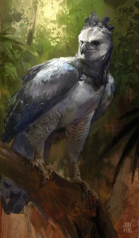 The Mighty Harpy Eagle: A most Powerful Bird of Prey in the World! Harpy eagles are the most amazing birds of prey in the world, and can be found in tropical forests across Central and South America. These birds of prey are known for their striking appearance, with a large head, hooked beak, and powerful talons. While they typically prey on small animals such as snakes and rodents, they have been known to kill monkeys and even deer. #harpyeagle#goldeneagles#wildbirds Harpy Eagle, Eagle Drawing, Eagle Painting, Eagle Wallpaper, Eagle Art, Animals Artwork, Arte Animal, Birds Of Prey, Animal Planet