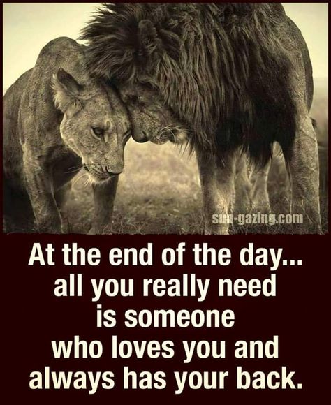 Trust -  having someone's back when things are not rosey.  Anyone can stand behind you when things are well... Got Your Back Quotes, Back Quotes, Lion Couple, Lion Quotes, Lion And Lioness, Lion Love, I Got Your Back, Got Your Back, Strong Quotes