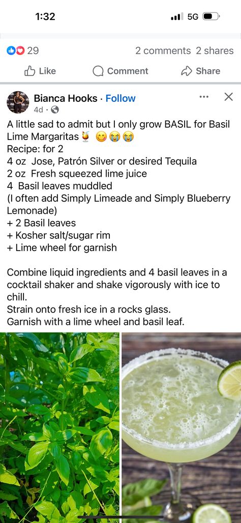 Basil Lime Margarita, Lime Margarita Recipe, Patron Silver, Growing Basil, Lime Margarita, Basil Leaf, Blueberry Lemonade, Margarita Recipes, Basil Leaves