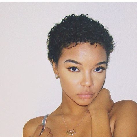 Pinterest: TMLKY ♡ Curly Hair Buzzcut, Pixie Cut Women, Tiny Afro, Style Pixie Cut, Pixie Cut Curly, Big Chop Natural Hair, Short Hair Inspo, Short Shaved Hairstyles, Dyed Curly Hair