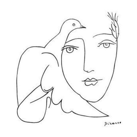 Dove Sketches, Picasso Line Drawing, Picasso Dove, Contour Drawings, Picasso Sketches, Picasso Drawing, Pablo Picasso Art, Feminine Wall Art, Picasso Paintings