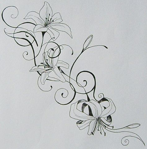 Lilly design to incorporate with my daughters name to represent the month she was born.  Have to do it in color tho I think. Tiger Lily Tattoo, Stargazer Lily Tattoo, Tiger Lily Tattoos, Lillies Tattoo, Lily Tattoo Design, Lilies Drawing, Lily Flower Tattoos, Star Tattoo Designs, Flower Tattoo Shoulder