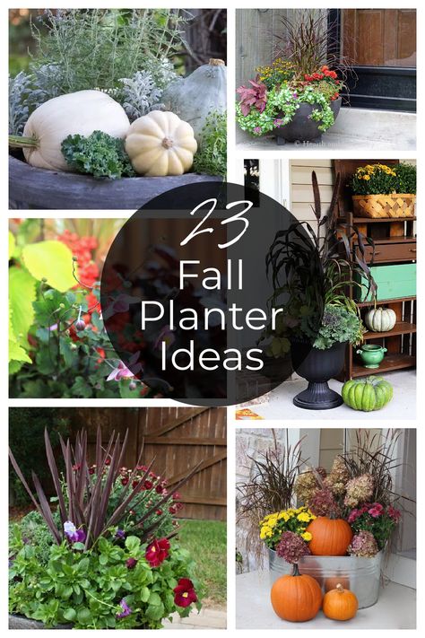 Be inspired by this large list of outdoor planters for your front porch this fall that will last from now until Christmas. Fall Planter Box Ideas Front Porches, Mums On Porch For Fall, Large Planters Outdoor Ideas Fall, Fall Flower Planters Front Porches, Best Plants For Fall Planters, Fall Flowers Garden Pots, Fall Planters Front Porches Shade, Fall Front Door Planters, Autumn Planters Outdoor