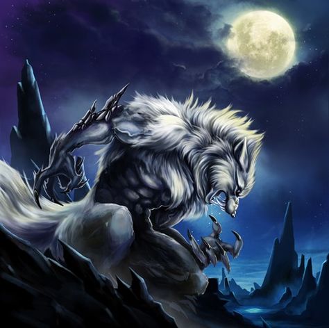 Wolf Meme, Funny Wolf, Alpha Werewolf, Wolf Images, Alpha Wolf, Werewolf Art, Creatures Art, Vampires And Werewolves, Howl At The Moon