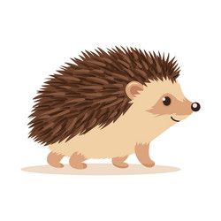 Hedgehog Side View, Hedgehog Vector, Hedgehog Cartoon, Hedgehog Clipart, Cartoon Hedgehog, Hedgehog Drawing, Hedgehog Illustration, Fox Squirrel, Cute Hedgehog