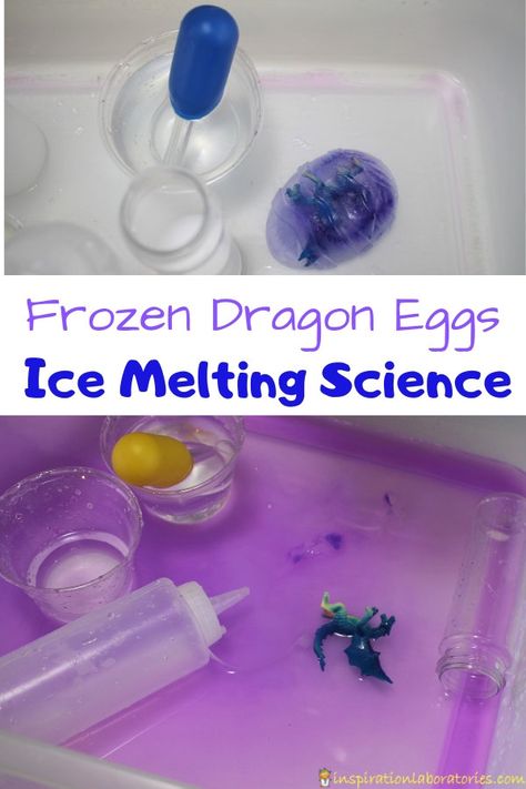 Frozen Dragon Eggs Ice Melting Science | Inspiration Laboratories Dragon Activities Eyfs, Dragon Science Experiment, How To Train Your Dragon Activities, Dragon Preschool Activities, Dragon Activities For Kids, Dragon Activities, Castles Topic, Candy Science Experiments, Science Inspiration