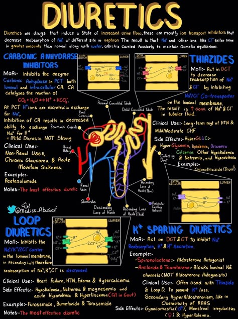 Diuretics Pharmacology, Doctor Stuff, Med School Study, Tech Outfit, Learn Biology, Nurse Study, Medical Notes, Nursing School Essential, Medicine Notes