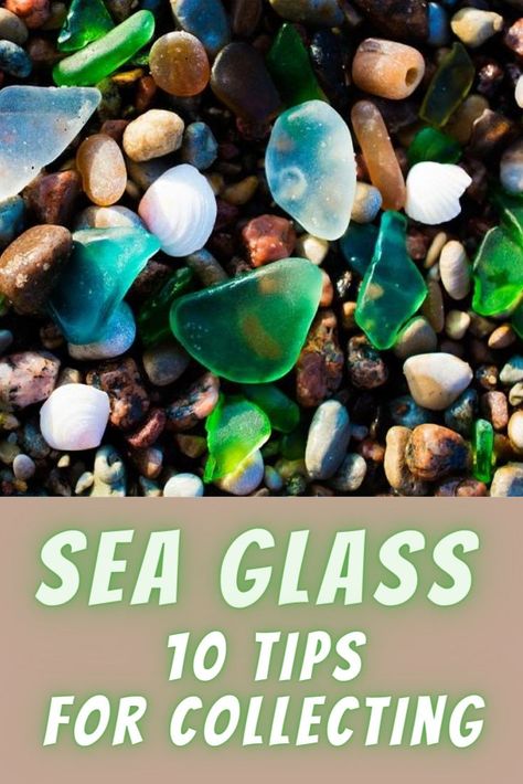 Pnw Vacation, Beachcombing Finds, Lds Conference, Ocean Shore, Beach Glass Crafts, Rock Hunting, Glass Rocks, Mermaid Pictures, Sea Glass Beach