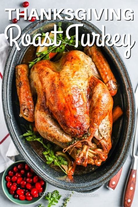 This roast turkey recipe is sure to become your favorite for your Thanksgiving holiday feast. Discover the ideal oven temperature and cooking time for roasting turkeys of any size, and create a moist and delicious centerpiece for your special meal with this straightforward guide. Cook it stuffed or unstuffed, for the best holiday entree! #theshortcutkitchen #roastturkey #thanksgivingturkeyrecipe #roastturkeyrecipe Cooking The Perfect Turkey, Roaster Recipes, Slow Roasted Turkey, Making Turkey Gravy, Roast Turkey Recipes, Perfect Turkey, Oven Roasted Turkey, Whole Turkey, House Wife