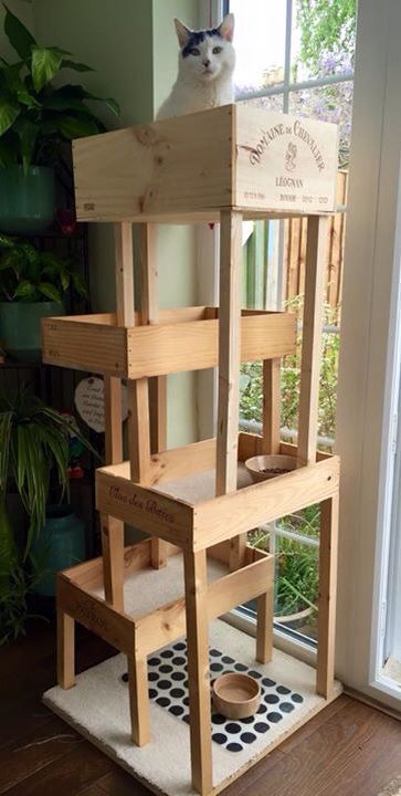 Wine box cat tree with a new penthouse level. Katt Diy, Wood Cat Tree, Katt Grejer, Kat Diy, Chat Diy, Diy Cat Tree, Cat House Diy, Cat Towers, Smart Tiles