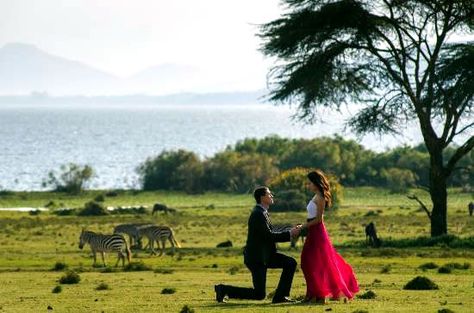 Proposal after a nature walk safari in Cresent Island Lake Naivasha. Safari Proposal, Lion King Wedding, Dream Proposal, Man Proposing, Safari Wedding, Room Painting, Island Lake, Nature Walk, River Boat