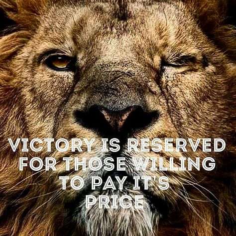 Victory is reserved for those willing to pay it's price Quotes For Graduating Seniors, Lion Strength, Lion Motivation, Jade Empire, Victory Quotes, Fire Lion, Gentle Man, The Lion Sleeps Tonight, Lion Quotes