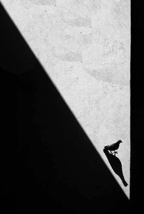 Shadow Shadow, Henri Cartier Bresson, Shadow Photography, Shadow Play, French Photographers, Minimalist Photography, Foto Art, Candid Photography, Black White Photos