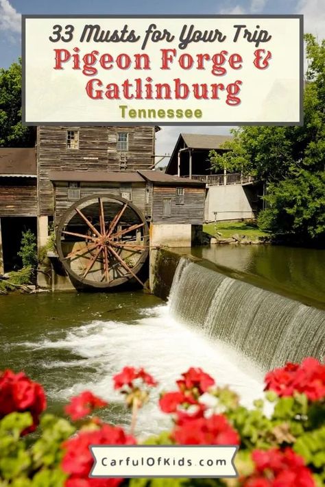 What To Do In Tennessee, Ober Gatlinburg Tennessee, Things To Do In Gatlinburg Tennessee, Gaitlandburg Tennessee, Gatlinburg Tennessee Things To Do In, Pigeon Forge And Gatlinburg Tn, Dollywood Tennessee, Gatlinburg Tennessee Hiking, Gatlinburg Honeymoon