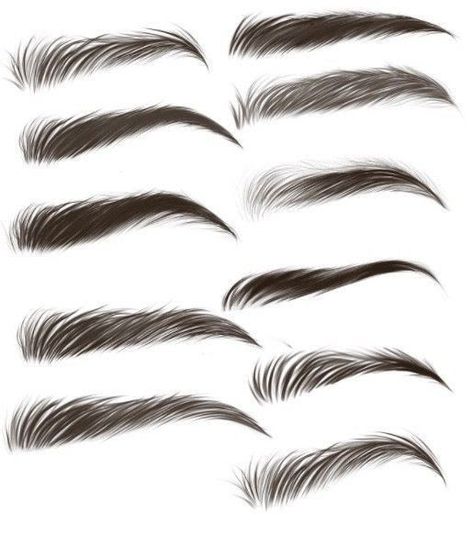 How To Draw Brows, Eye Brows Drawing, Eye Brow Drawing, Eyebrow Png, Digital Art Software, Eyebrow Design, Eye Drawing Tutorials, How To Draw Eyebrows, 얼굴 그리기