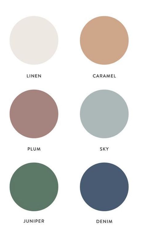 Scandinavia Colour Palette, Five Colour Palette, High End Color Palette Branding, Scandi Color Palette, Five Color Palette, Colors That Go Together, Wellness Color Palette, Party Color Schemes, Three Color Palette