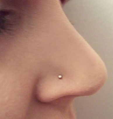 Yellow Ball Nose Ring In Gold Piercing Facial, Orr Piercing, Cute Nose Rings, Tiny Nose Studs, Small Nose, Piercing Cartilage, Facial Piercings, Cute Piercings, Vanessa Paradis