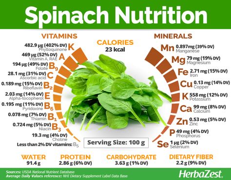 Spinach | HerbaZest Spinach Benefits, Low Carb High Protein, Nutrition Chart, Nutrition Month, Food Health Benefits, Fruit Benefits, Fruit Salad Recipes, Nutrition Guide, Nutrition Education