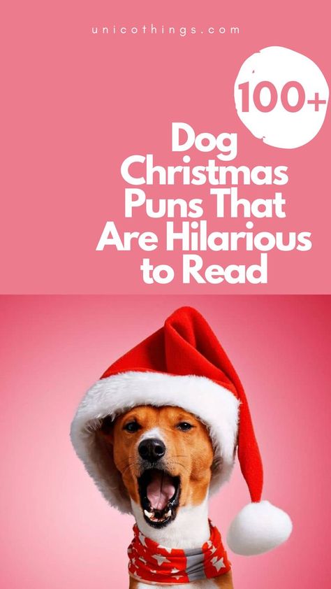 Fetch the holiday cheer with these funny and hilarious Dog Christmas puns to bring smiles and laughter to your festive celebrations. Christmas Dog Quotes, Dog Christmas Funny, Christmas Pets Funny, Christmas Dogs Funny, Funny Christmas Cards With Dogs, Funny Dog Christmas Cards, Dog Christmas Puns, Pet Puns, Dog Xmas Cards