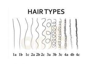 How To Know What Type Of Hair You Have, Natural Hair Type Chart, Hair Texture Chart, Different Hair Textures, Hair Type Chart, Oval Face Haircuts, Curly Hair Types, Hair Textures, Lustrous Hair