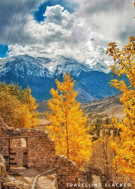 Autumn In India, Ladakh India, Leh Ladakh, Fall Colours, India Photography, Travel India, Ooty, India And Pakistan, Jammu And Kashmir