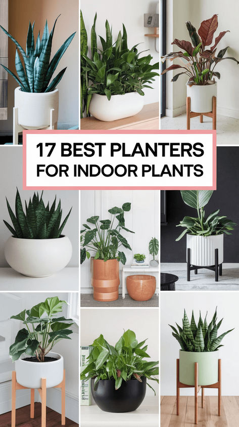 ⭐ Discover the best planters for growing your favorite indoor plants at home! Whether you’re into herbs, strawberries, or succulents, find stylish and functional options that enhance your home decor and boost plant health. 🌱 Elevate your indoor garden experience with the perfect planters today! 😊 Indoor Planters Ideas, Indoor Planter Ideas, Planters For Indoor Plants, Plants At Home, Indoor Flower Pots, Plant Pot Holders, Plant Health, Indoor Plant Pots, Green Space