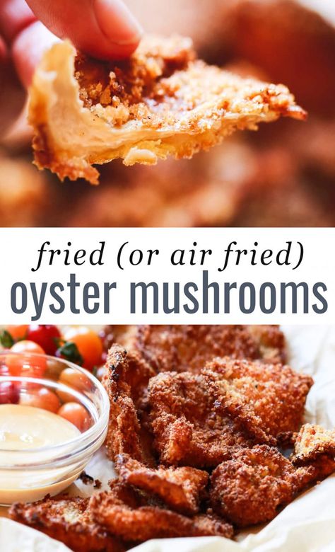 Royal Trumpet Mushroom Recipe, Oyster Mushrooms Recipes, Pink Oyster Mushroom Recipe, Fried Oyster Mushroom Recipe, Blue Oyster Mushrooms, Pink Oyster Mushroom, Fried Oyster Mushrooms, Mushroom Recipes Vegan, Oyster Mushroom Recipe