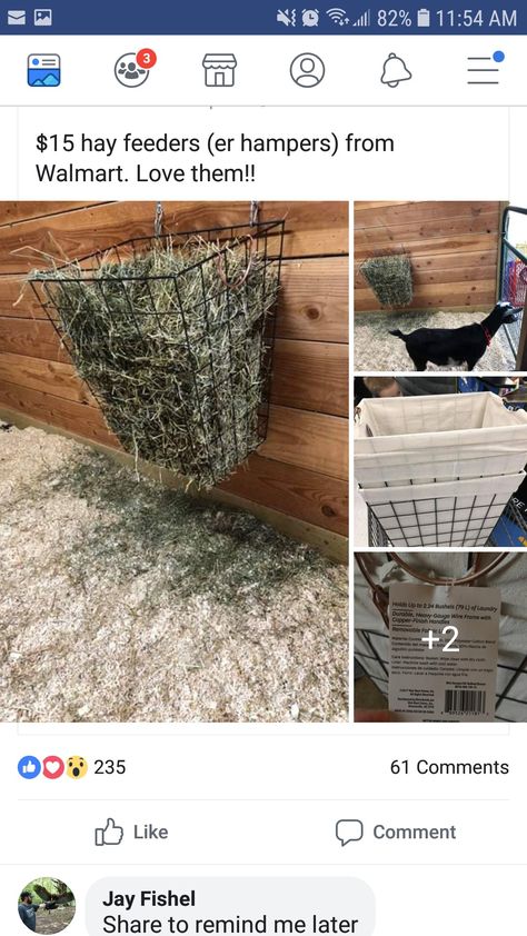 Pallet Goat Feeder, Goats And Horses Together, Goat Pins Diy, Goat Building Ideas, Goat House Pallets, Goat Stable Ideas, Backyard Goat Pen, Goat Incloser Ideas, Farm Animals Horses