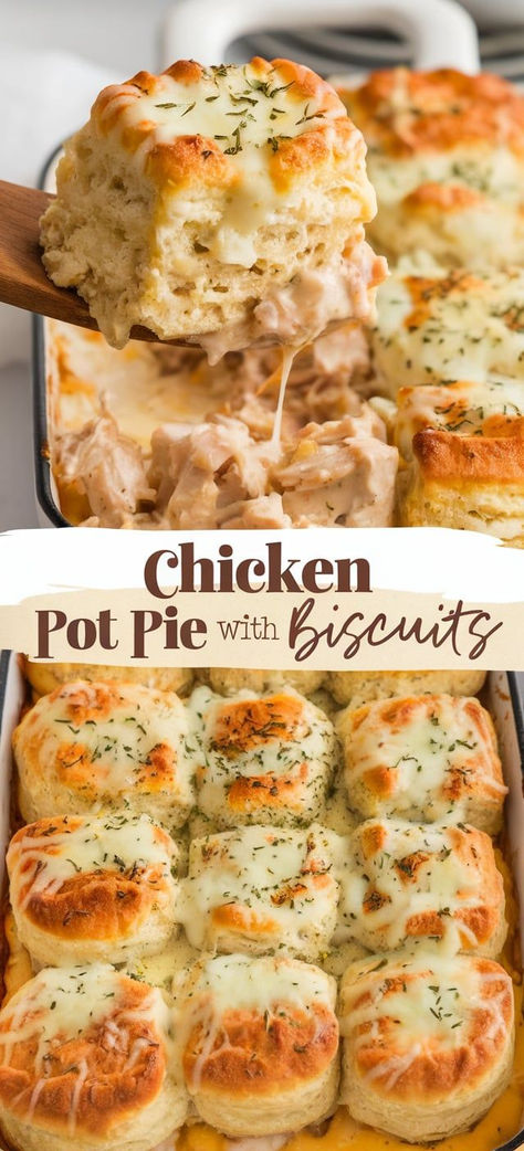 Chicken Pot Pie with Biscuits – Enjoy homemade comfort food with this chicken pot pie with biscuits! A creamy filling loaded with chicken and veggies, topped with soft, flaky biscuits, is pure satisfaction in every bite. Chicken Pot Pie Bake With Biscuits, Homemade Pot Pie With Biscuits, Chicken N Biscuits Recipes Crock Pot, Chicken Pot Pie Using Cream Of Chicken, Chicken Pot Pie With Biscuits Crockpot, Chicken Potpie With Biscuits, Chicken Pot Pie Casserole With Biscuits, Easy Chicken Pot Pie With Biscuits, Biscuit Dinner Recipes