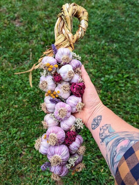 Garlic Braid, Large Braids, Hardneck Garlic, Garlic Bulbs, Farm Stickers, Garlic Bulb, Small Braids, First Photograph, Small Farm