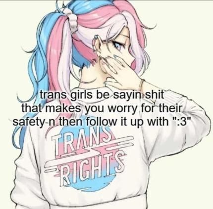 Transfem Aesthetic, Egg Scramble, Girls When, Trans Art, Lgbtq Funny, Gay Memes, Girl Memes, Friend Memes, Trans Pride