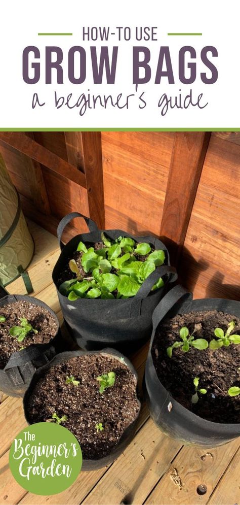 Planting Bags Gardens, Gardening In Bags, How To Fill Grow Bags, Growing In Bags, Container Garden Set Up, Growing Bags Gardening, Garden Grow Bags, Planting In Grow Bags, Container Garden Design Ideas