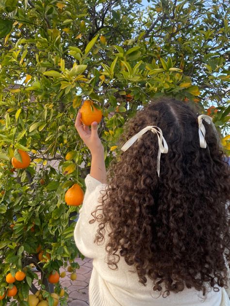 Insta: Mrrl.karen 🍊Curly hairstyle, curly hair bows, white ribbon hair, orange tree, summer aesthetic Pined Back Hair Hairstyles, Girl With Bow In Hair Aesthetic, Hair Ribbon Curly Hair, Curly Hair Back View Aesthetic, Cottage Core Hairstyles Curly, Hair Bows Curly Hair, Curly Bow Hair, Hair Ribbon Hairstyles Aesthetic, Curly Hair Bows Hairstyles