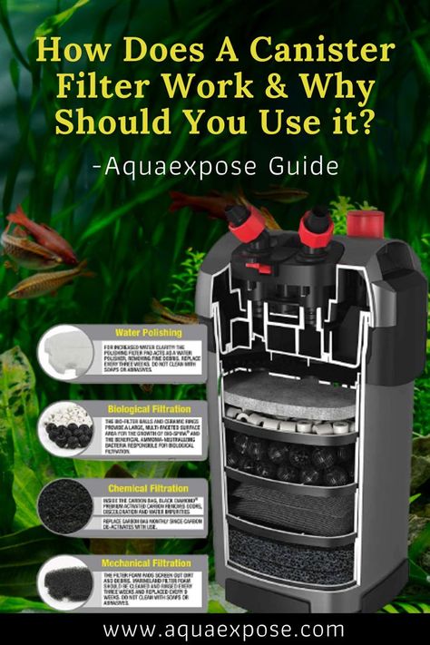 If you are an aquarist and just learning about the maintenance system of your fish tank or turtle tank, you would know the importance of keeping your aquarium water clean. Out of many aquarium filtration types, one of the most popular ones is the canister filter. But how does a canister filter work? Well, we are about to find out more! Under Gravel Filter Aquarium, Water Filtration Diy, Diy Canister, Aquarium Filter Ideas, Aquarium Filters, 55 Gallon Aquarium, Diy Canister Filter Aquarium, Diy Sump Filter Aquarium, Diy Aquarium Filter