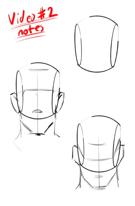 Male Face Reference Drawing Front View, Front Face Reference Drawing, Face Guidelines Drawing, Head Structure Drawing, Facial Proportions, Drawing Tutorial Face, Body Drawing Tutorial, Face Drawing Reference, Manga Drawing Tutorials