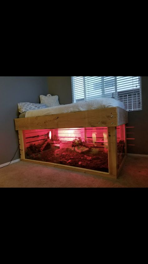 Savannah Monitor Enclosure Diy, Diy Large Snake Enclosure, Reptile Terrarium Ideas Bearded Dragon, Homemade Reptile Enclosure, Tegu Enclosure Diy, Reptile Bedroom Ideas, Enclosure Ideas, Diy Reptile Enclosure How To Build, Snake Inclosers Ideas