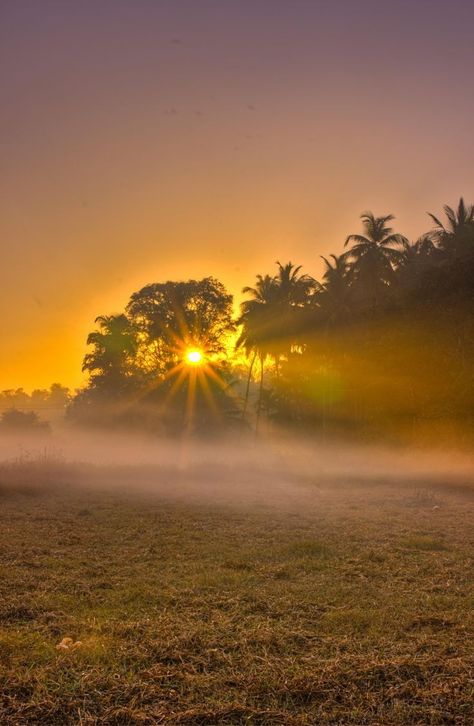 Sunrise at Padoor Village Udupi India My First Vlog, Blur Image Background, Nature Background Images, Blur Background Photography, Beach Background Images, Blur Photo Background, Blur Background In Photoshop, Background Images For Editing, Scenery Pictures