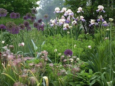 Garden Design's New Perennial Movement Perennial Garden Design, Naturalistic Garden, Prairie Planting, Herbaceous Border, Perennial Border, Flower Garden Design, Herbaceous Perennials, Plant Combinations, Garden Borders