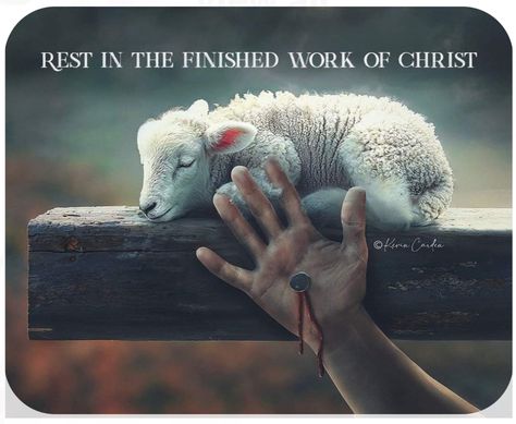 Jesus Lamb, Jesus Christ Painting, Pictures Of Christ, Jesus Christ Artwork, Bible Quotes Images, Christian Pictures, Christian Messages, Jesus Christ Images, God Is Real