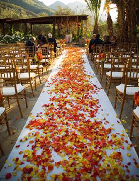 Ceremony Aisle with the colors of autumn leaves to walk on. Great for an outdoor mountain wedding. #fallwedding #fallweddingideas #fallweddingdecorations Wedding Aisles, Rustic Wedding Decorations, Outdoor Fall Wedding, Fall Wedding Flowers, Fall Wedding Ideas, Fall Wedding Decorations, Wedding Inspiration Fall, Orange Wedding, Orange Roses