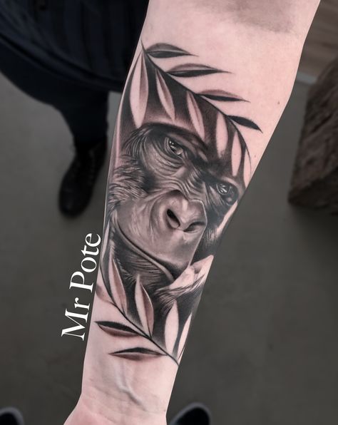 Gorilla Tattoo For Women, Chimpanzee Tattoo, Gorilla Tattoos, Jungle Tattoo, Animal Tattoos For Women, Monkey Tattoo, Dogs Tattoo, Healed Tattoo, Learn To Tattoo