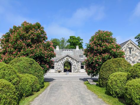 The Martha Stewart Blog : Blog Archive : My Blooming Horse-Chestnut Trees Bedford New York, Horse Chestnut Trees, Ranch Exterior, Horse Chestnut, Chestnut Trees, Martha Stewart Living, Chestnut Horse, Shade Trees, Deciduous Trees