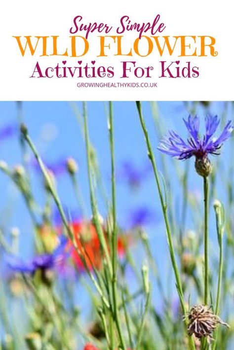 Wildflower activities for kids to try, Free Printable Bingo!! Flower Aesthetic White, White Flower Aesthetic, White Flowers Aesthetic, Flower Activities For Kids, White Flower Arrangement, Grow Wildflowers, Mother Earth Living, Bingo Sheets, Bingo Printable