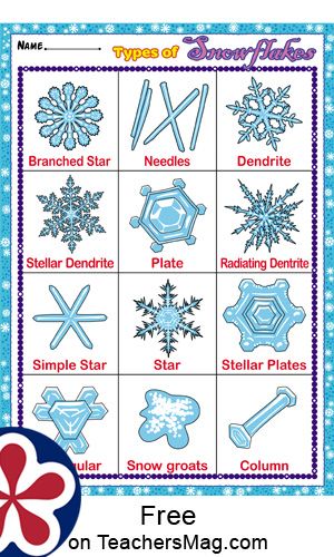 Types of Snowflakes  On this printable, the assorted types of snowflakes that exist are covered. Students may not realize how while to our eye all snowflakes look the same they are actually all unique and different. This printable helps teach them that! Stem Snowflakes, Kindergarten Snowflakes, Preschool Snowflakes, Snowflake Bentley Activities, Snowflake Stem, Snowflake Science, Types Of Snowflakes, Snowflakes Science, Winter Stem