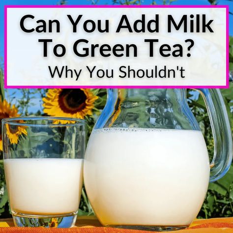 Adding milk to coffee and black tea is common. So can you add milk to green tea,too? Of course you can. But you probably shouldn't, for two big reasons. First... Green Tea Milk Tea Recipe, Green Tea With Creamer, Green Milk Tea Recipe, Green Tea With Milk, Green Milk Tea, Milk Green Tea, Green Tea Milk, Tea Guide, Coconut Milk Drink